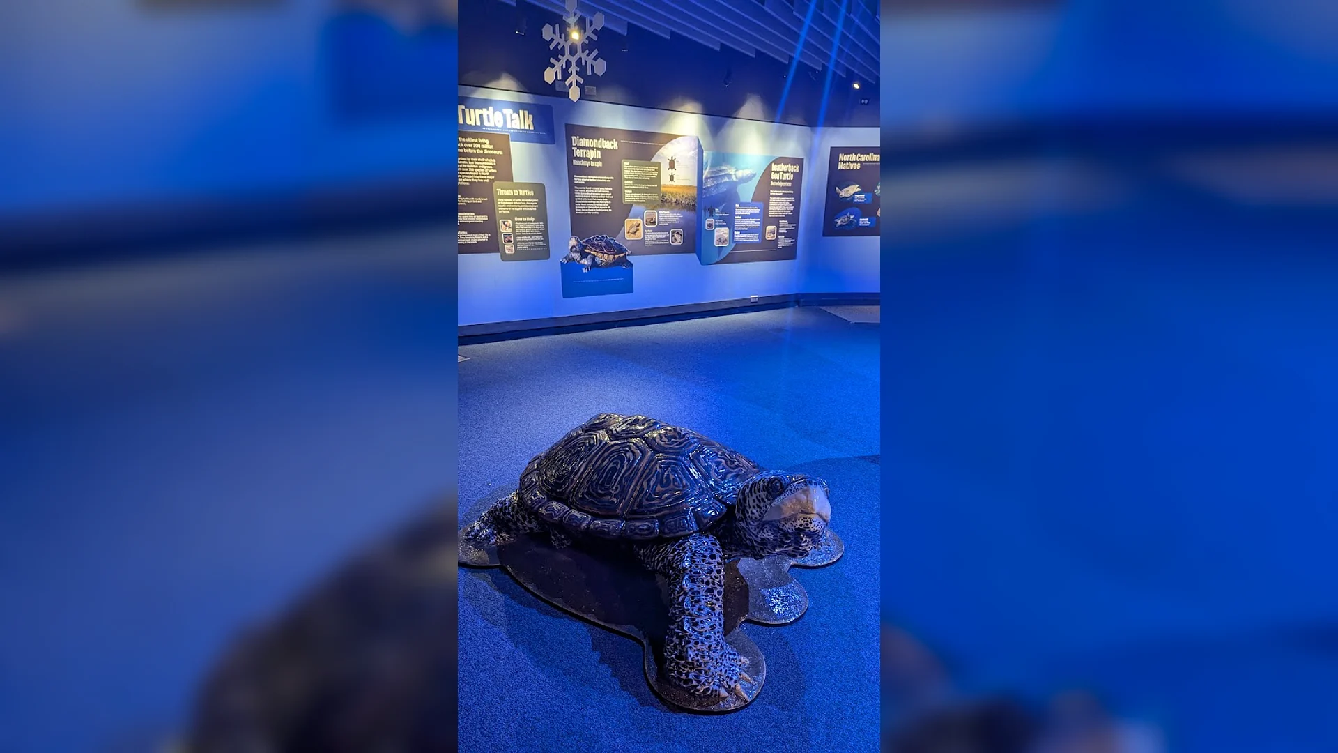 NC Aquarium Pine Knoll Shores — Emergency Welding